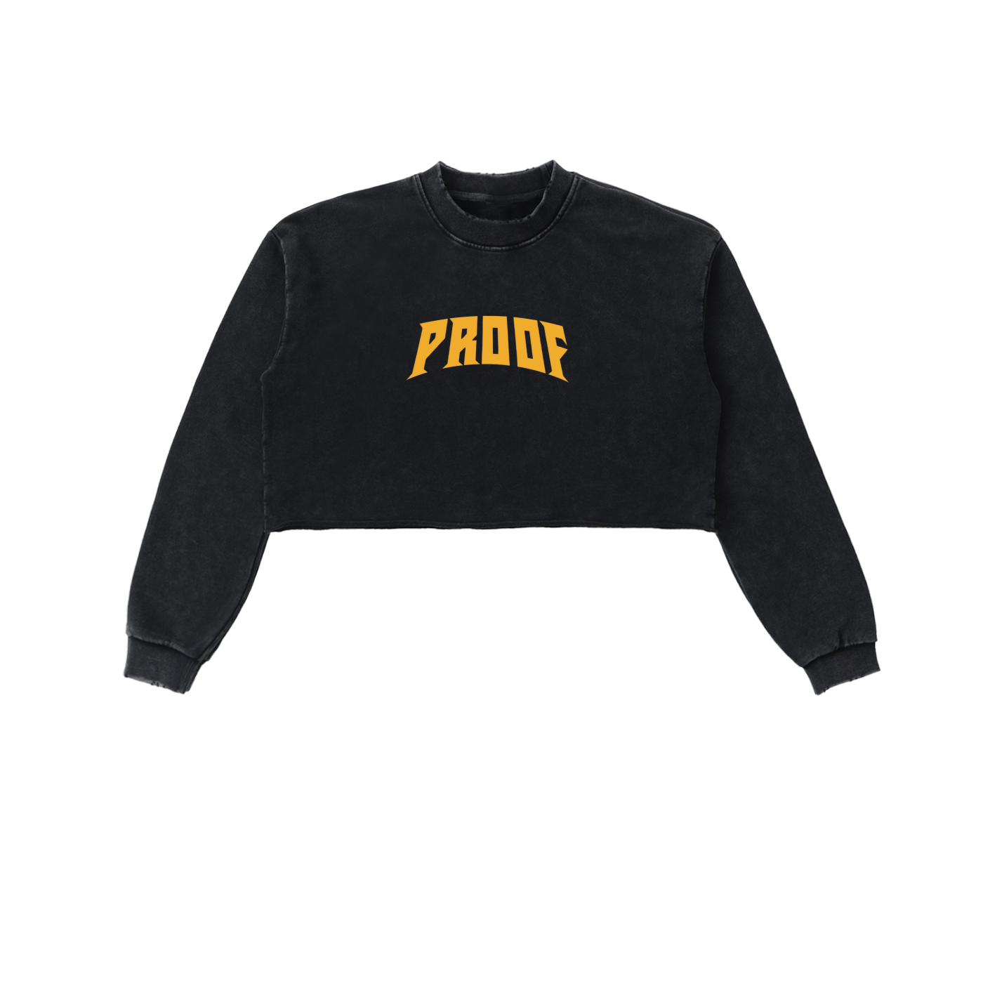 Snow Washed Raw Edge Cropped Sweatshirt