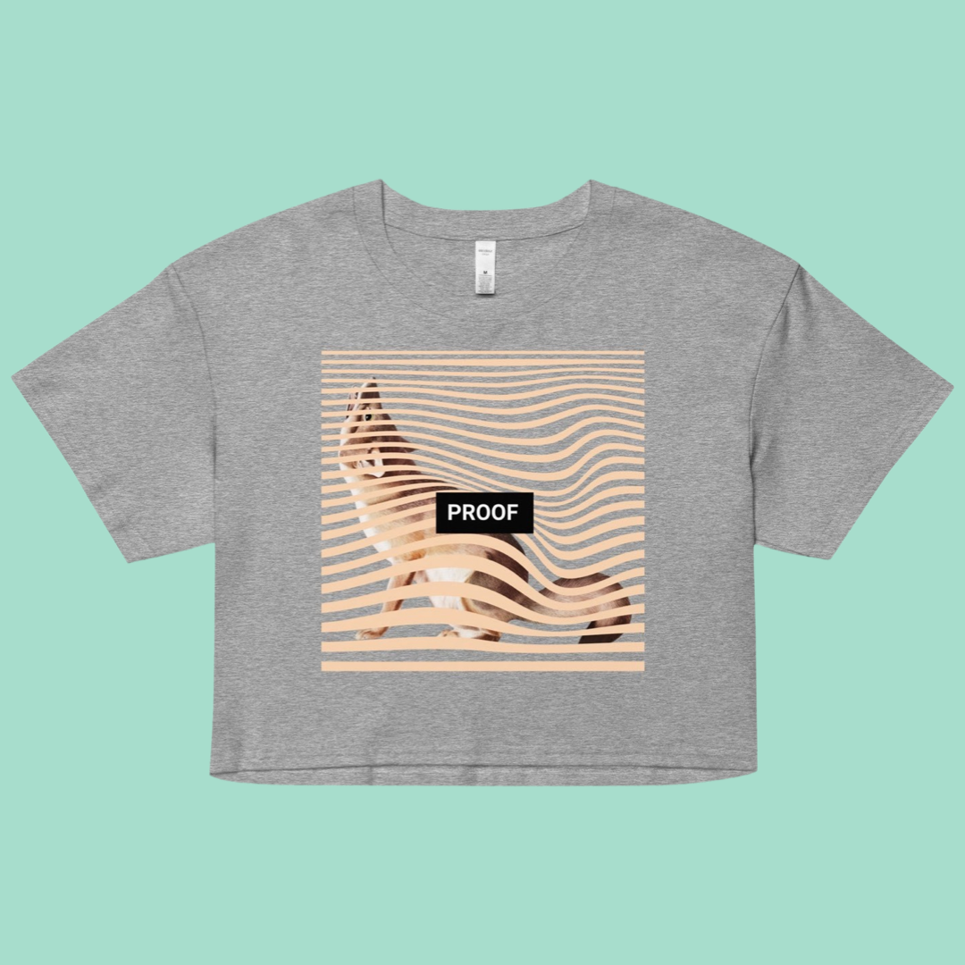 CLASSIC DREAMER CROP