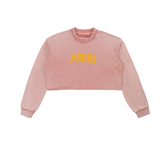 Snow Washed Raw Edge Cropped Sweatshirt