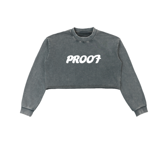 Raw Edge Cropped Sweatshirt