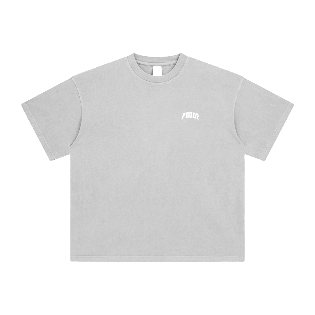 Enzyme Washed T