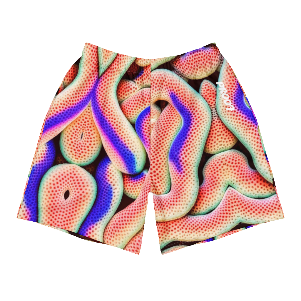 Active Long Shorts