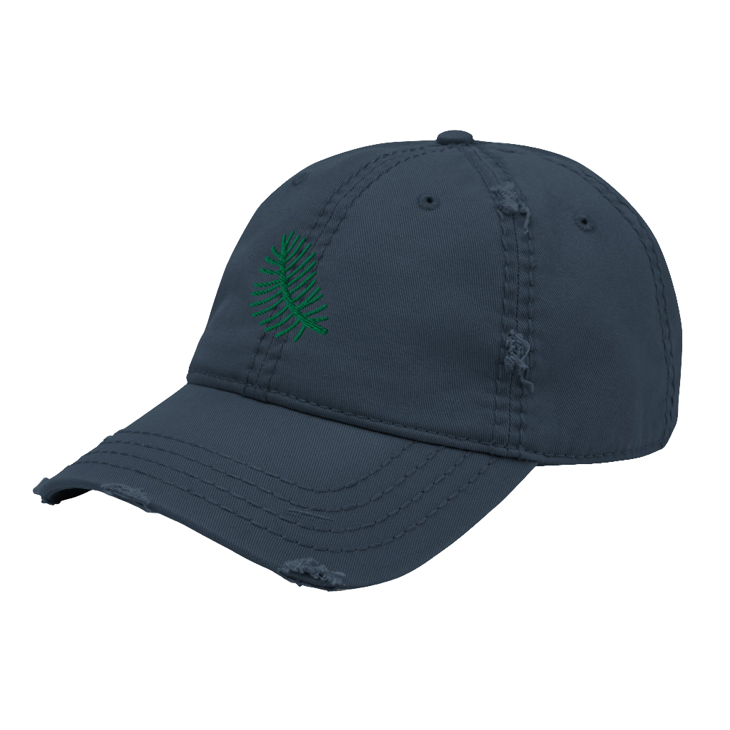 DISTRESSED CAP