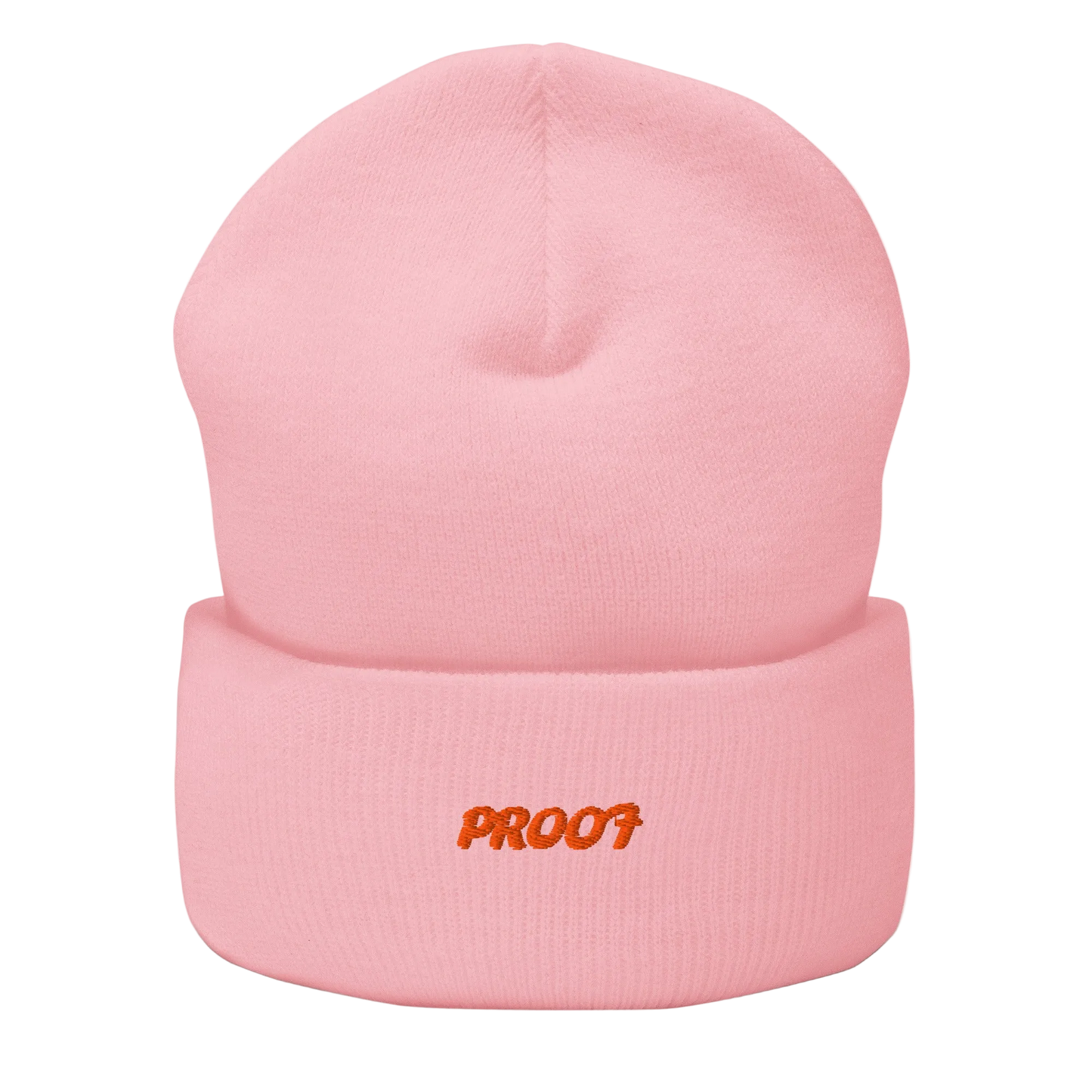 Cuffed Beanie