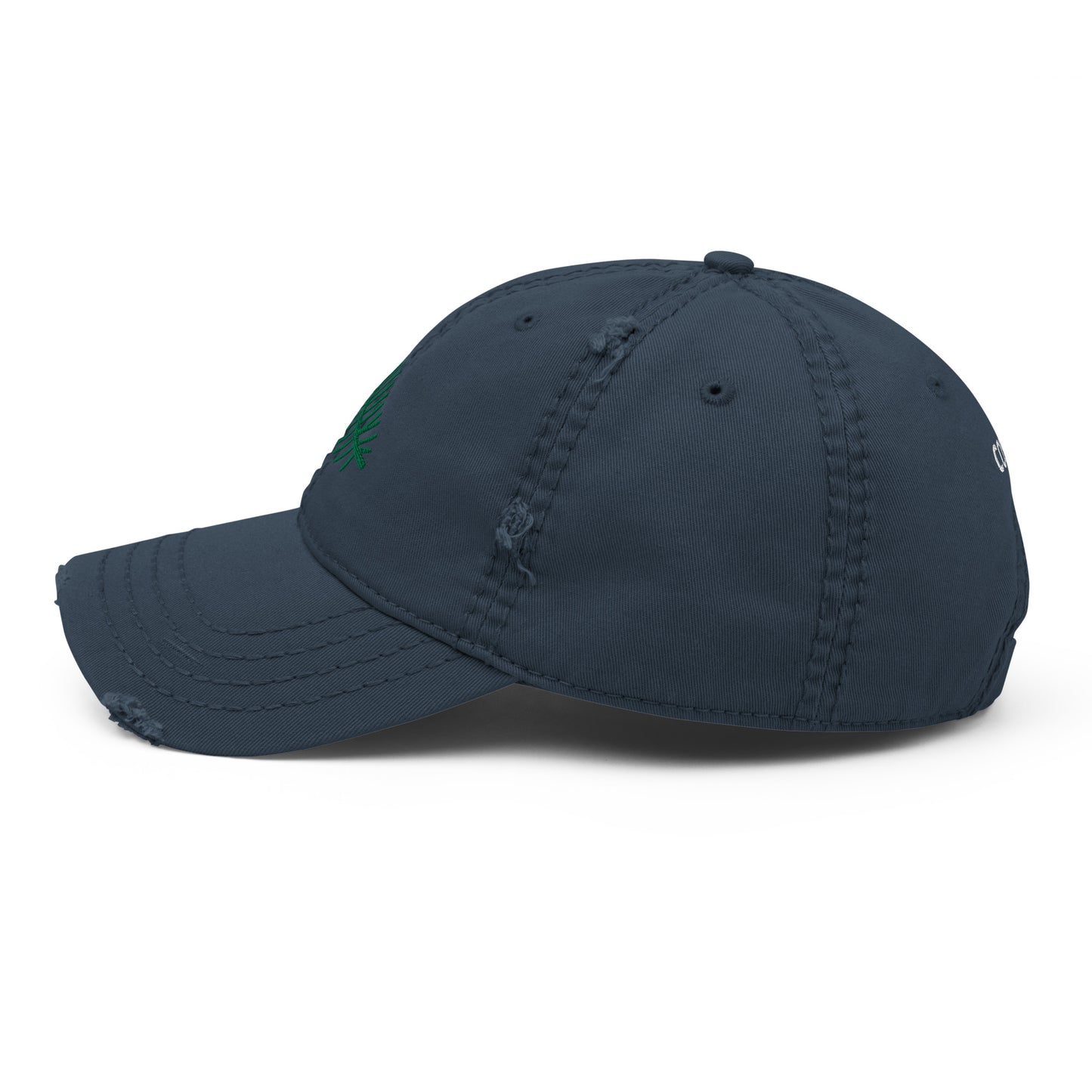 DISTRESSED CAP