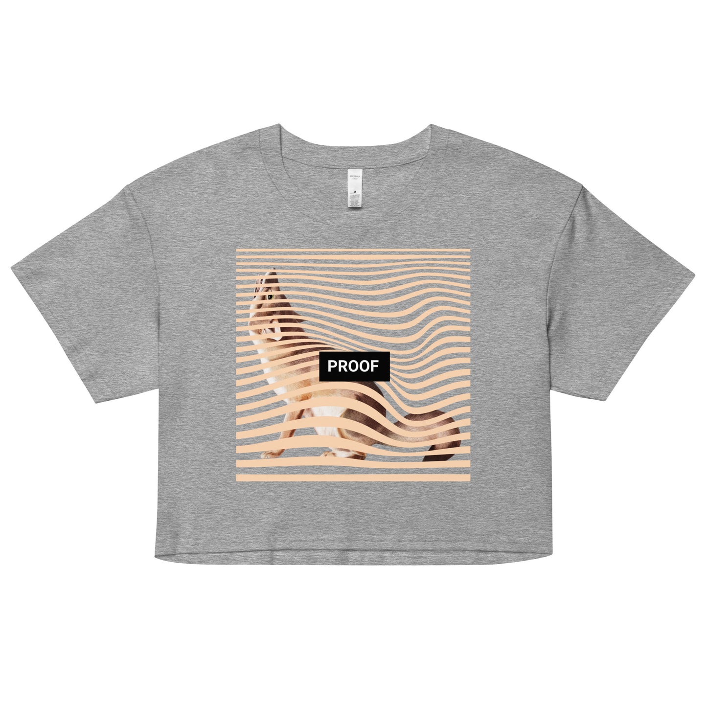 CLASSIC DREAMER CROP