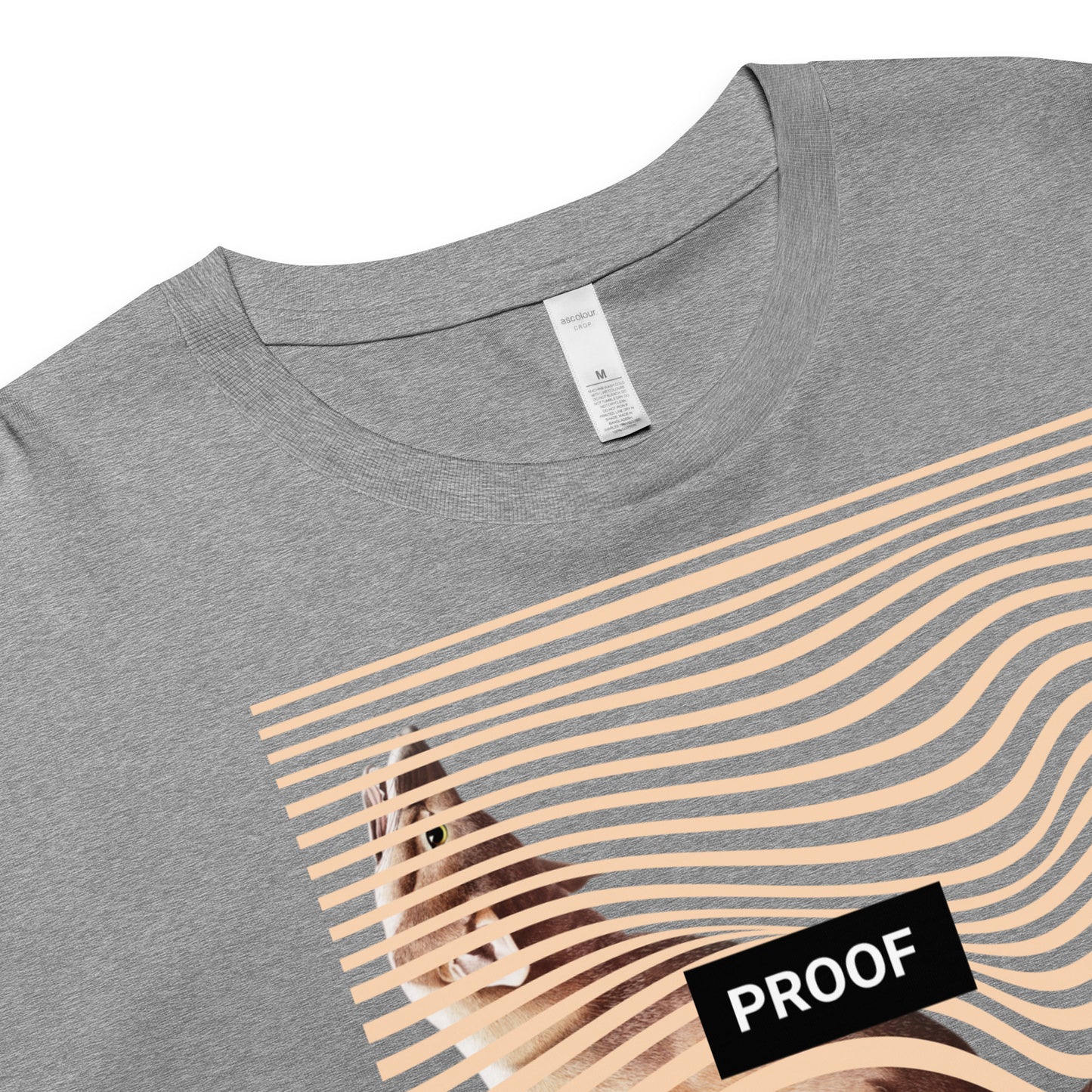 CLASSIC DREAMER CROP