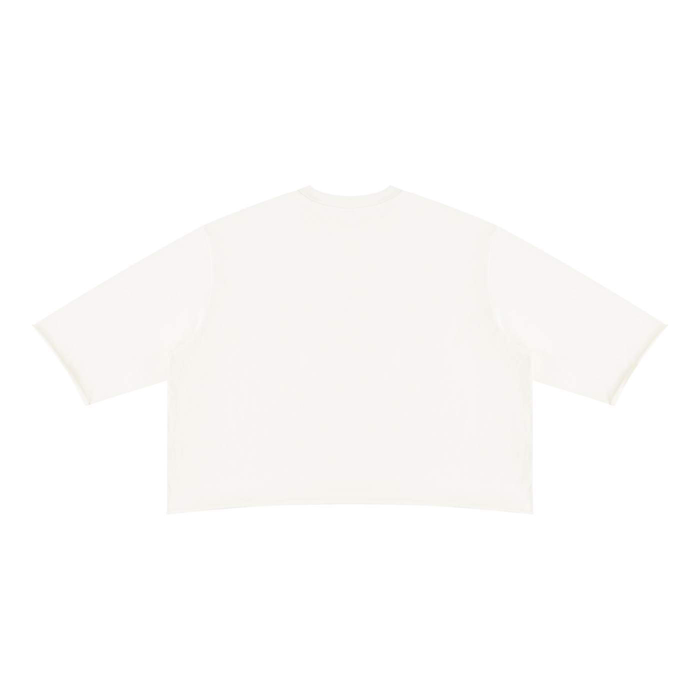 Mineral Wash Raw Hem Boxy T