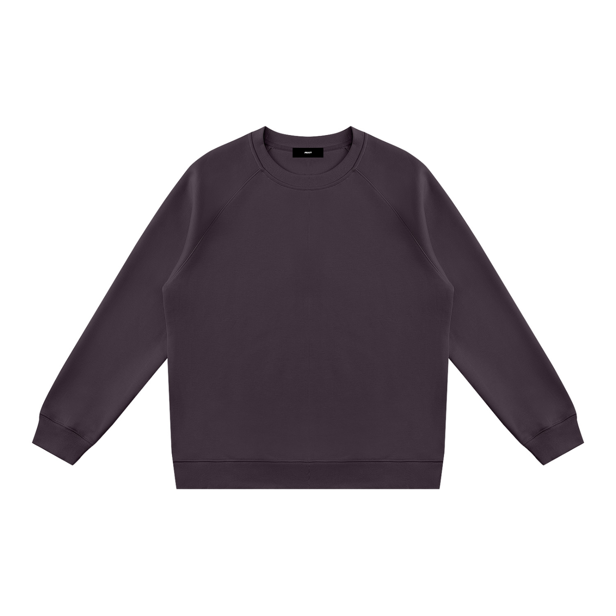 Regular Fit Crewneck Sweatshirt