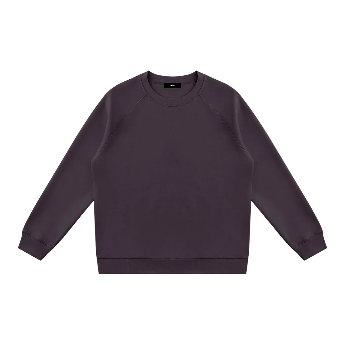 Regular Fit Crewneck Sweatshirt
