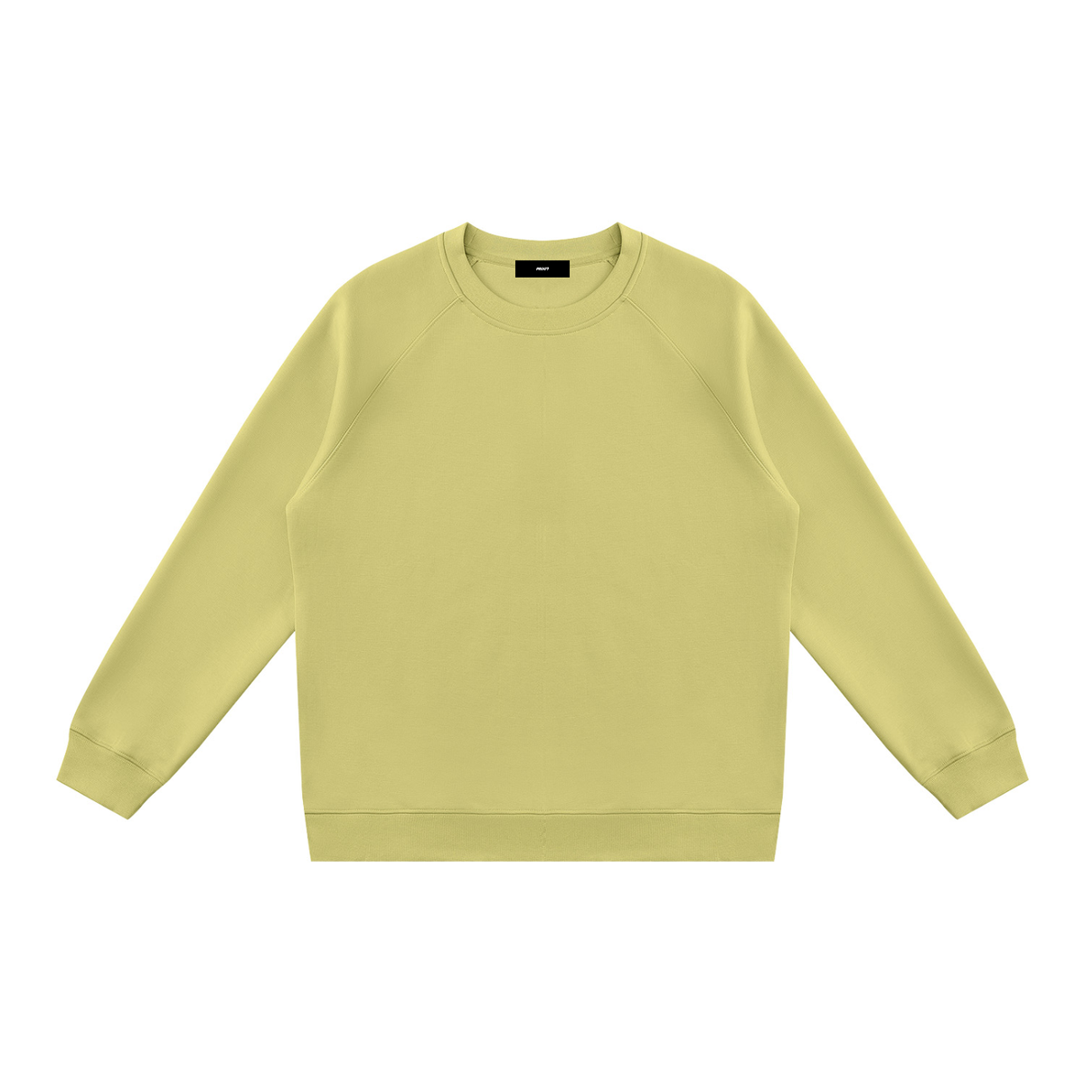 Regular Fit Crewneck Sweatshirt