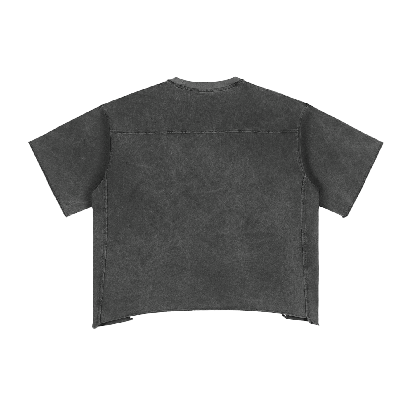 Raw Edge Snow Washed Boxy T