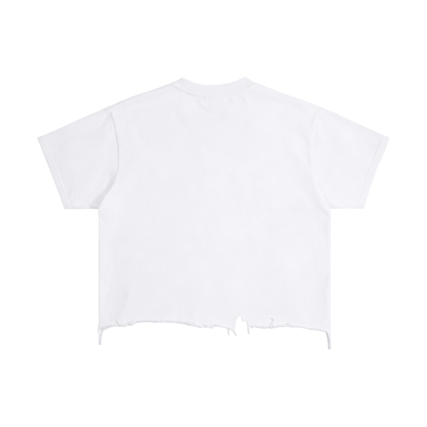 Vintage Wash Boxy Distressed Hem T