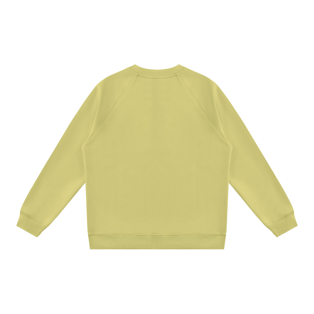 Regular Fit Crewneck Sweatshirt