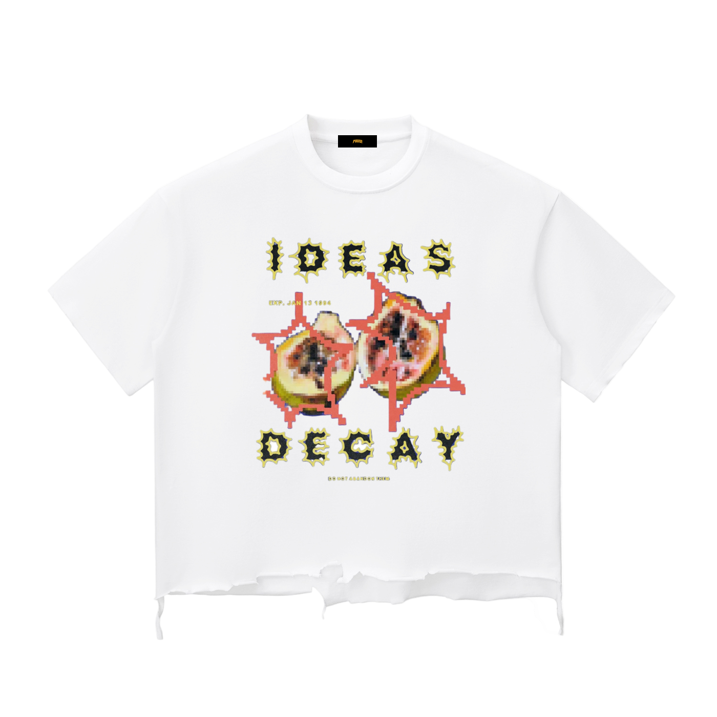 Snow Wash Raw-Hem Boxy T-shirt