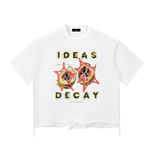 Snow Wash Raw-Hem Boxy T-shirt