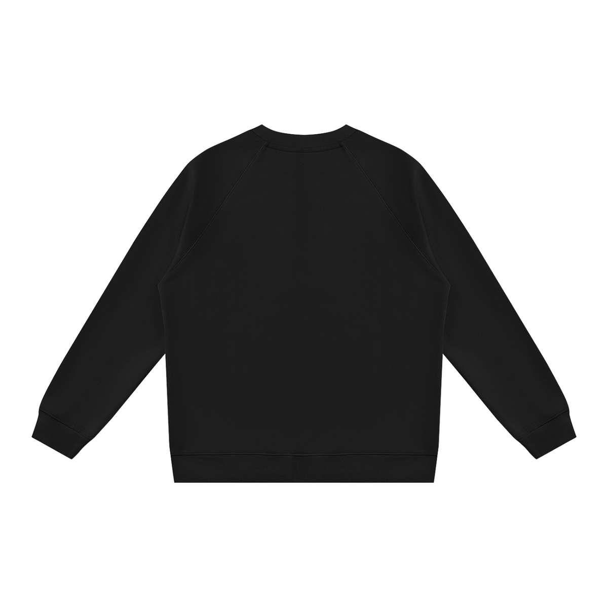 Regular Fit Crewneck Sweatshirt