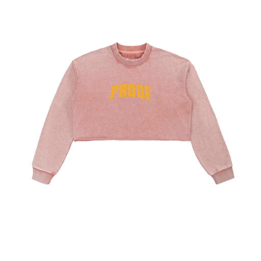 Snow Washed Raw Edge Cropped Sweatshirt