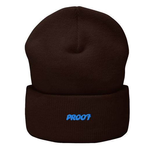 Cuffed Beanie