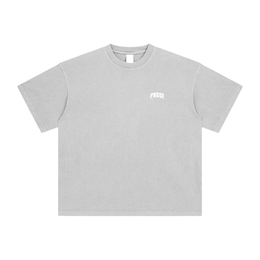 Enzyme Washed T