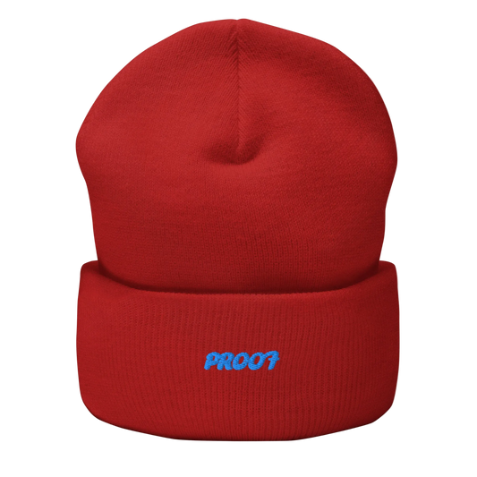 Cuffed Beanie