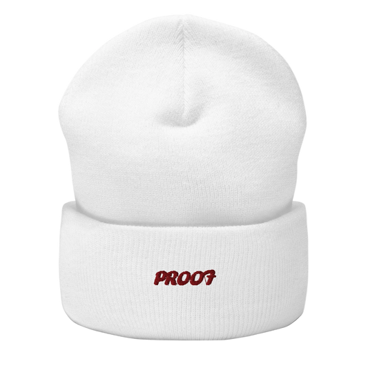 Cuffed Beanie
