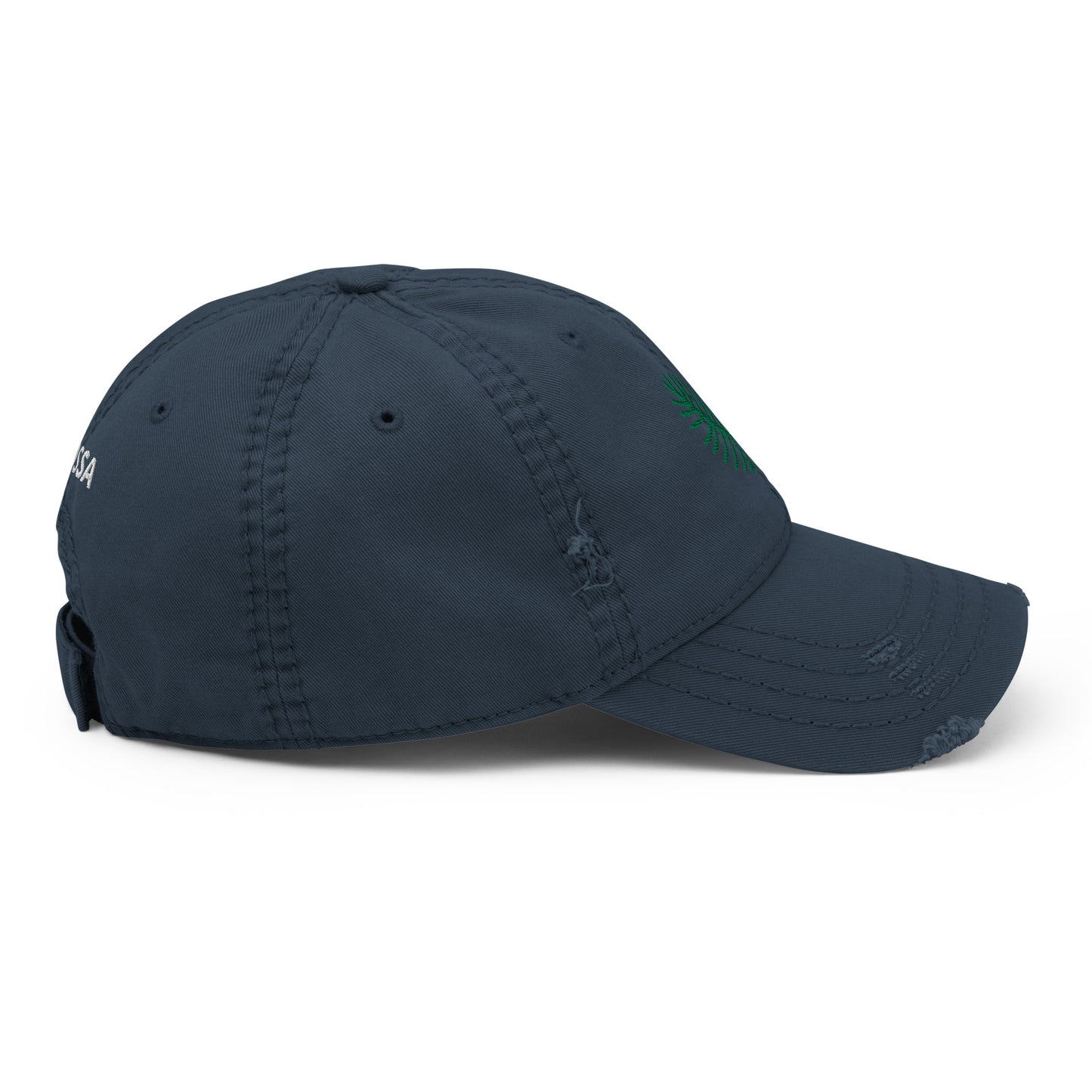 DISTRESSED CAP