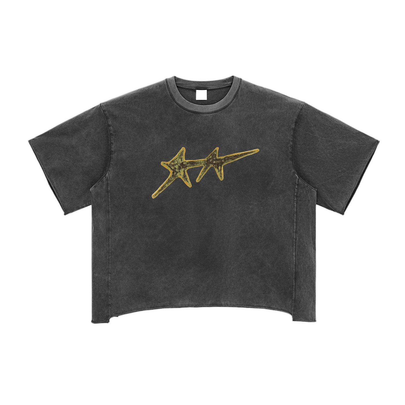 Raw Edge Snow Washed Boxy T