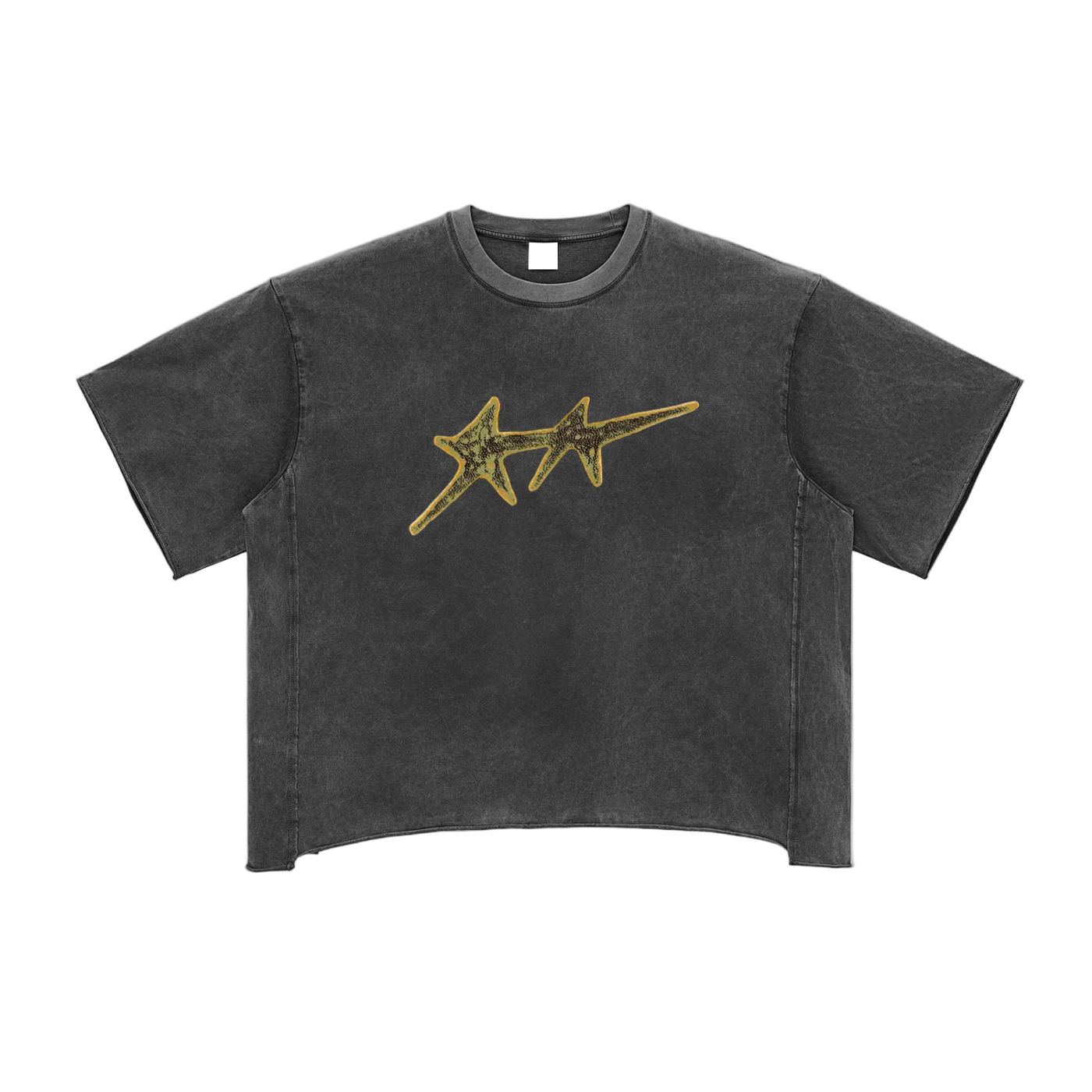 Raw Edge Snow Washed Boxy T
