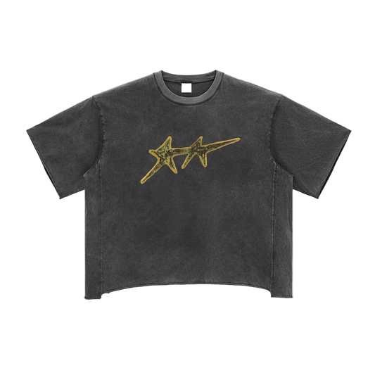 Raw Edge Snow Washed Boxy T