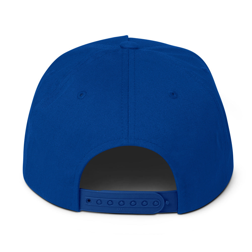 Flat Bill ugly American cap