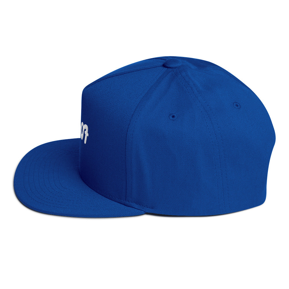 Flat Bill ugly American cap