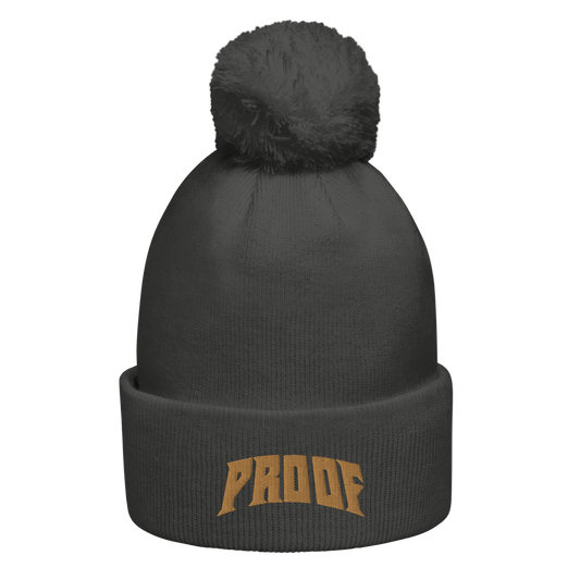 LOGO BEANIE!