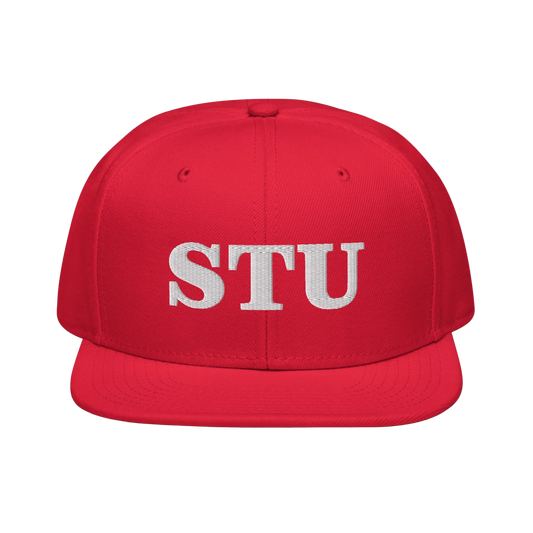 Snapback Hat
