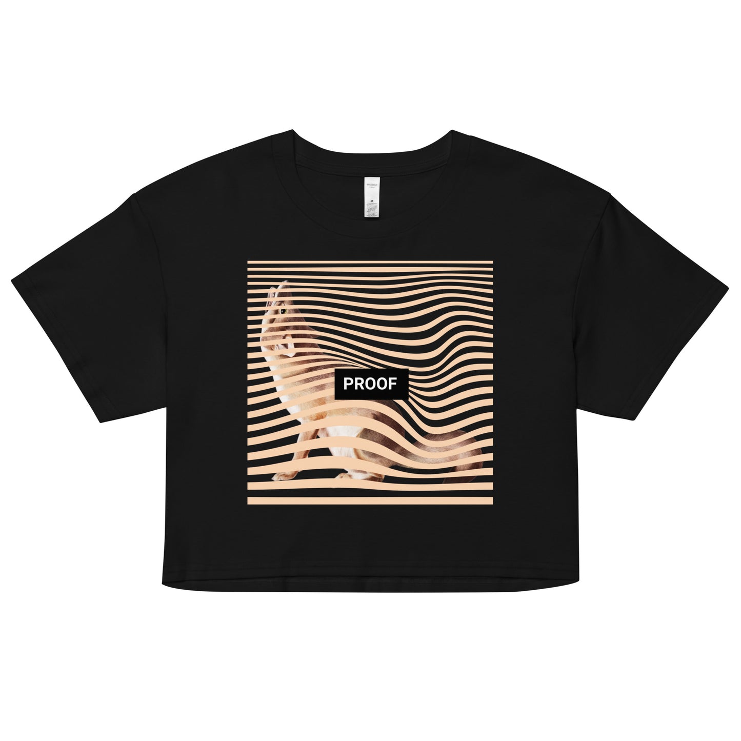 CLASSIC DREAMER CROP