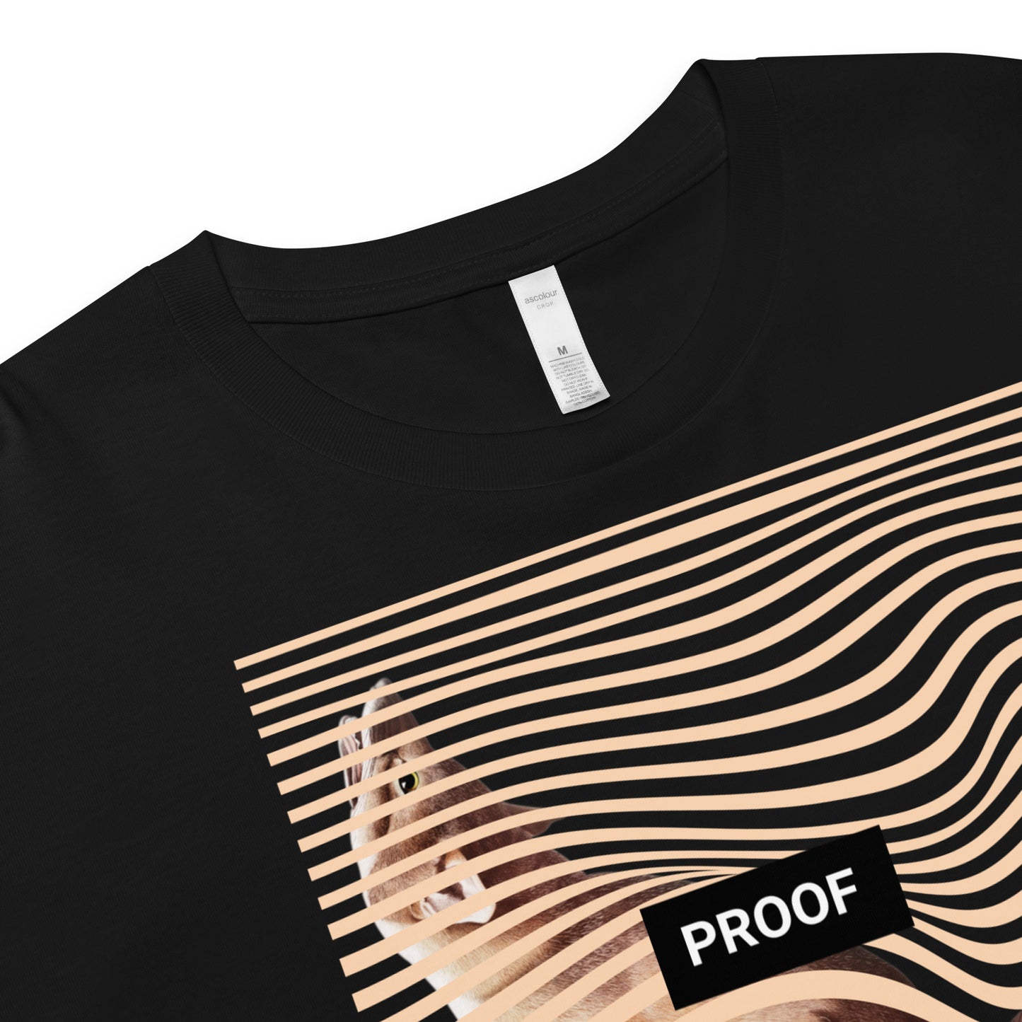 CLASSIC DREAMER CROP